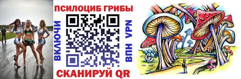 хочу   Подпорожье  Псилоцибиновые грибы Magic Shrooms 